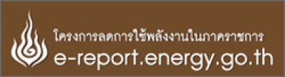 Energy Report MID
